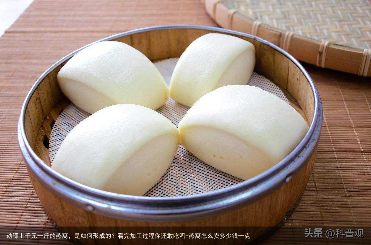 动辄上千元一斤的燕窝，是如何形成的？看完加工过程你还敢吃吗-燕窝怎么卖多少钱一克