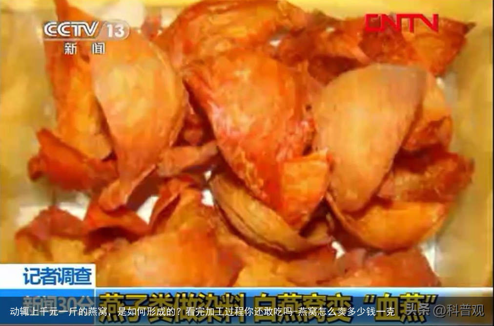 动辄上千元一斤的燕窝，是如何形成的？看完加工过程你还敢吃吗-燕窝怎么卖多少钱一克