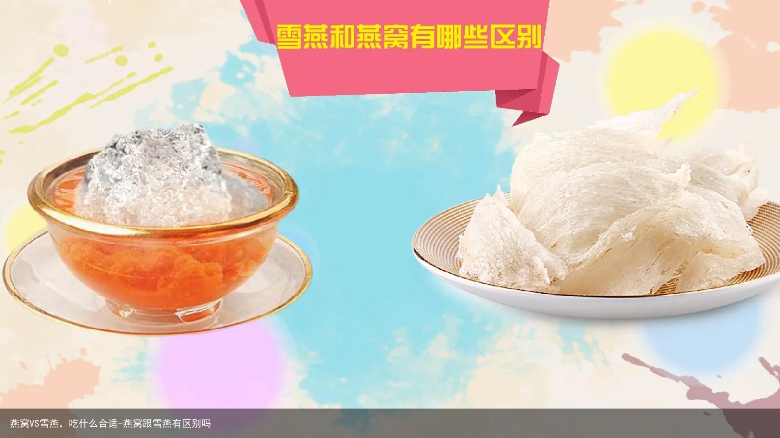 燕窝VS雪燕，吃什么合适-燕窝跟雪燕有区别吗