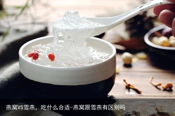 燕窝VS雪燕，吃什么合适-燕窝跟雪燕有区别吗