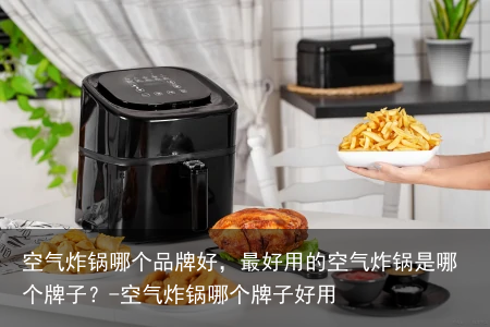 空气炸锅哪个品牌好，最好用的空气炸锅是哪个牌子？-空气炸锅哪个牌子好用