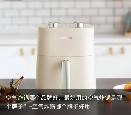空气炸锅哪个品牌好，最好用的空气炸锅是哪个牌子？-空气炸锅哪个牌子好用