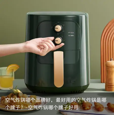 空气炸锅哪个品牌好，最好用的空气炸锅是哪个牌子？-空气炸锅哪个牌子好用