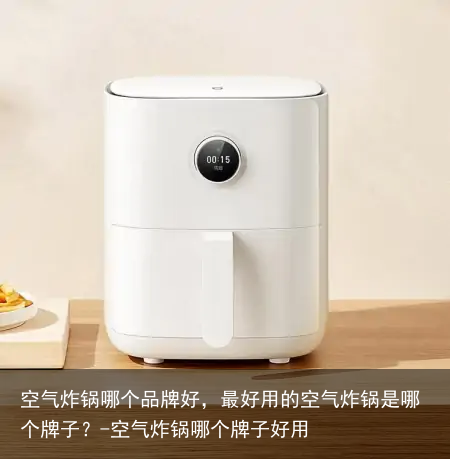 空气炸锅哪个品牌好，最好用的空气炸锅是哪个牌子？-空气炸锅哪个牌子好用