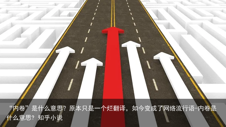 “内卷”是什么意思？原本只是一个烂翻译，如今变成了网络流行语-内卷是什么意思? 知乎小说