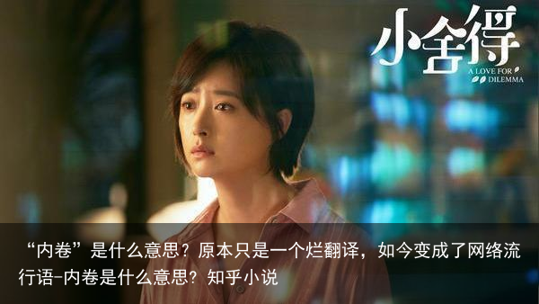 “内卷”是什么意思？原本只是一个烂翻译，如今变成了网络流行语-内卷是什么意思? 知乎小说