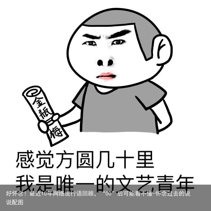 好怀念！最近10年网络流行语回顾，“00”后可能看不懂-怀念过去的说说配图