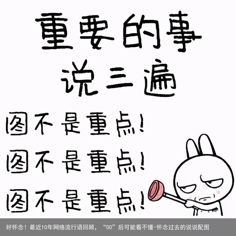 好怀念！最近10年网络流行语回顾，“00”后可能看不懂-怀念过去的说说配图