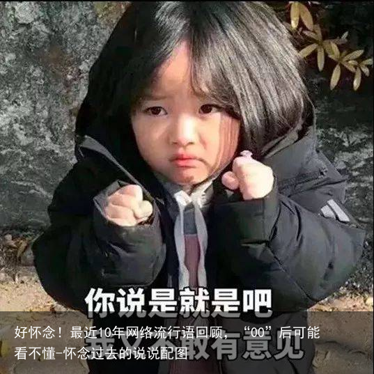 好怀念！最近10年网络流行语回顾，“00”后可能看不懂-怀念过去的说说配图