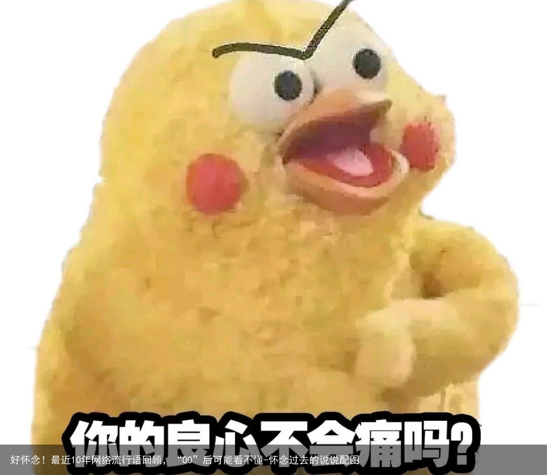 好怀念！最近10年网络流行语回顾，“00”后可能看不懂-怀念过去的说说配图