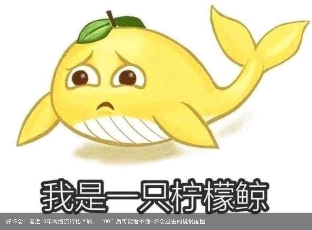 好怀念！最近10年网络流行语回顾，“00”后可能看不懂-怀念过去的说说配图