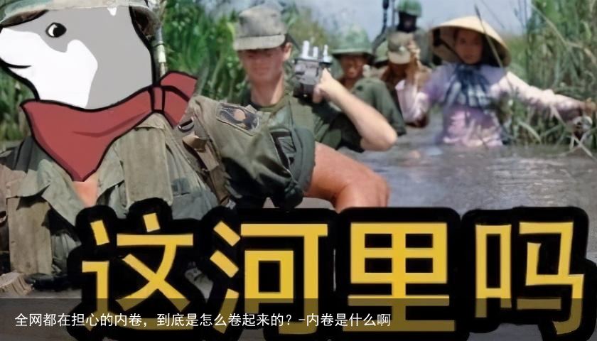 全网都在担心的内卷，到底是怎么卷起来的？-内卷是什么啊