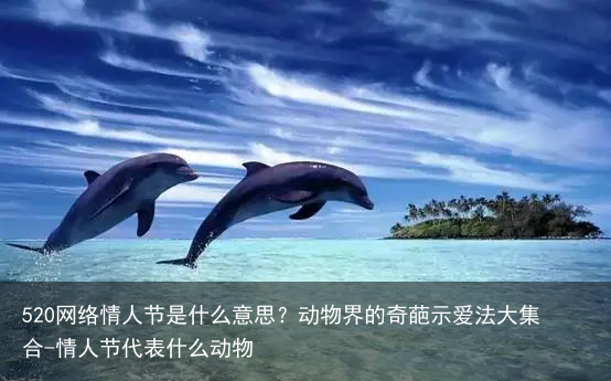520网络情人节是什么意思？动物界的奇葩示爱法大集合-情人节代表什么动物