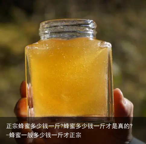 正宗蜂蜜多少钱一斤?蜂蜜多少钱一斤才是真的?-蜂蜜一般多少钱一斤才正宗