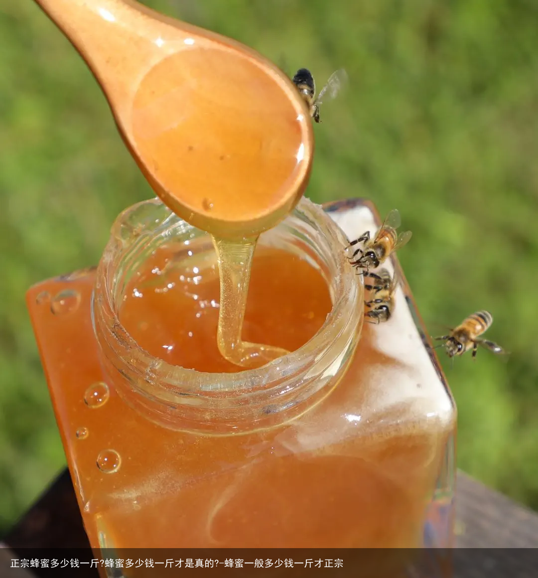正宗蜂蜜多少钱一斤?蜂蜜多少钱一斤才是真的?-蜂蜜一般多少钱一斤才正宗