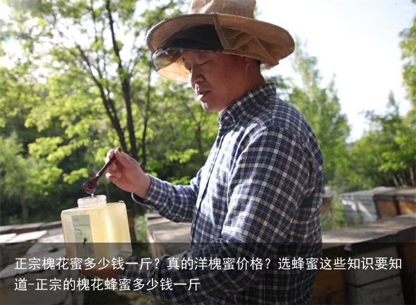 正宗槐花蜜多少钱一斤？真的洋槐蜜价格？选蜂蜜这些知识要知道-正宗的槐花蜂蜜多少钱一斤