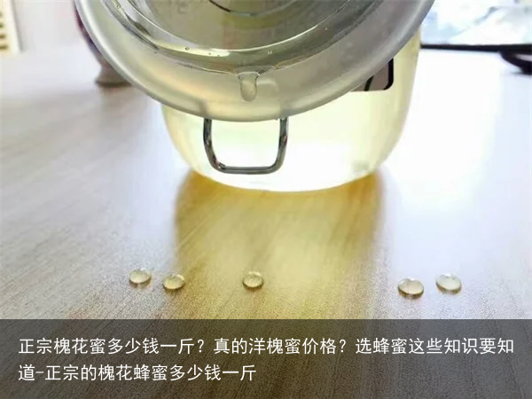 正宗槐花蜜多少钱一斤？真的洋槐蜜价格？选蜂蜜这些知识要知道-正宗的槐花蜂蜜多少钱一斤