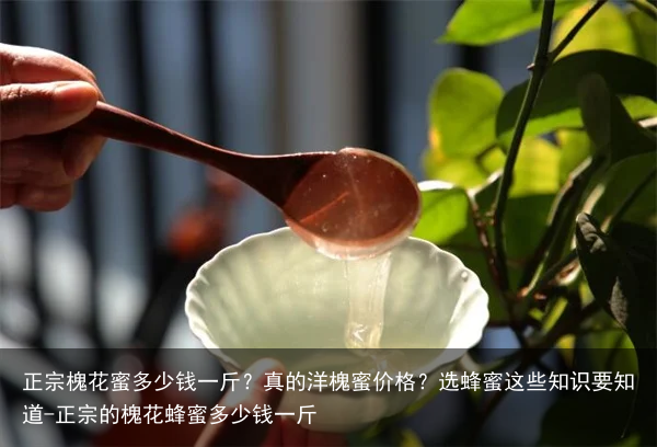 正宗槐花蜜多少钱一斤？真的洋槐蜜价格？选蜂蜜这些知识要知道-正宗的槐花蜂蜜多少钱一斤