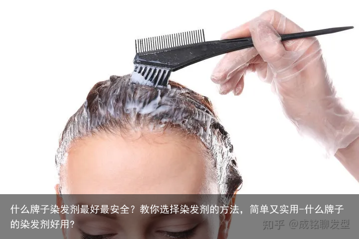 什么牌子染发剂最好最安全？教你选择染发剂的方法，简单又实用-什么牌子的染发剂好用?
