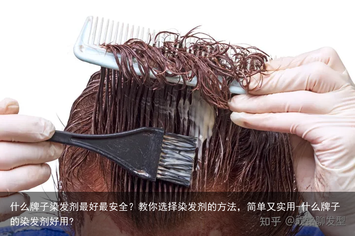 什么牌子染发剂最好最安全？教你选择染发剂的方法，简单又实用-什么牌子的染发剂好用?