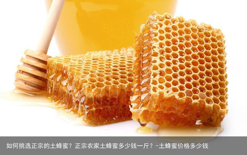 如何挑选正宗的土蜂蜜？正宗农家土蜂蜜多少钱一斤？-土蜂蜜价格多少钱