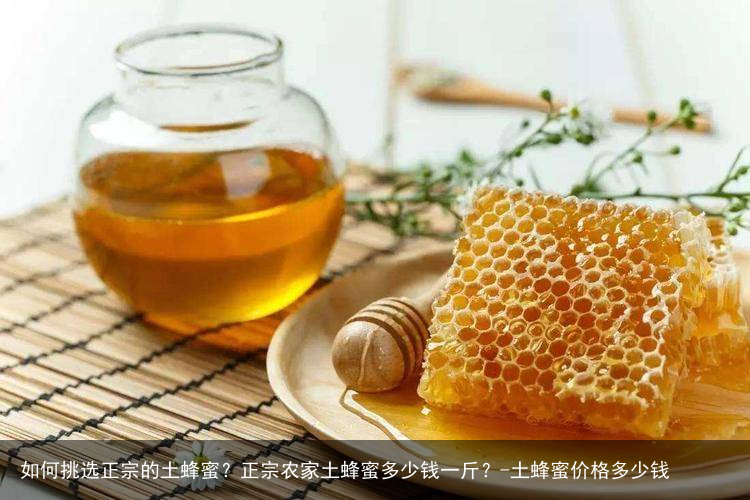 如何挑选正宗的土蜂蜜？正宗农家土蜂蜜多少钱一斤？-土蜂蜜价格多少钱