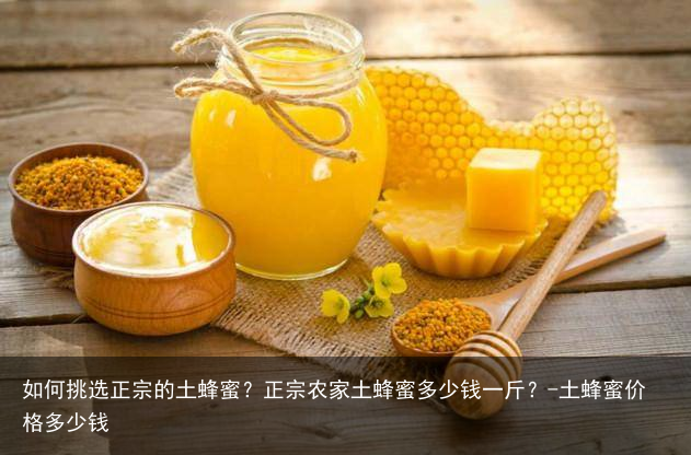 如何挑选正宗的土蜂蜜？正宗农家土蜂蜜多少钱一斤？-土蜂蜜价格多少钱