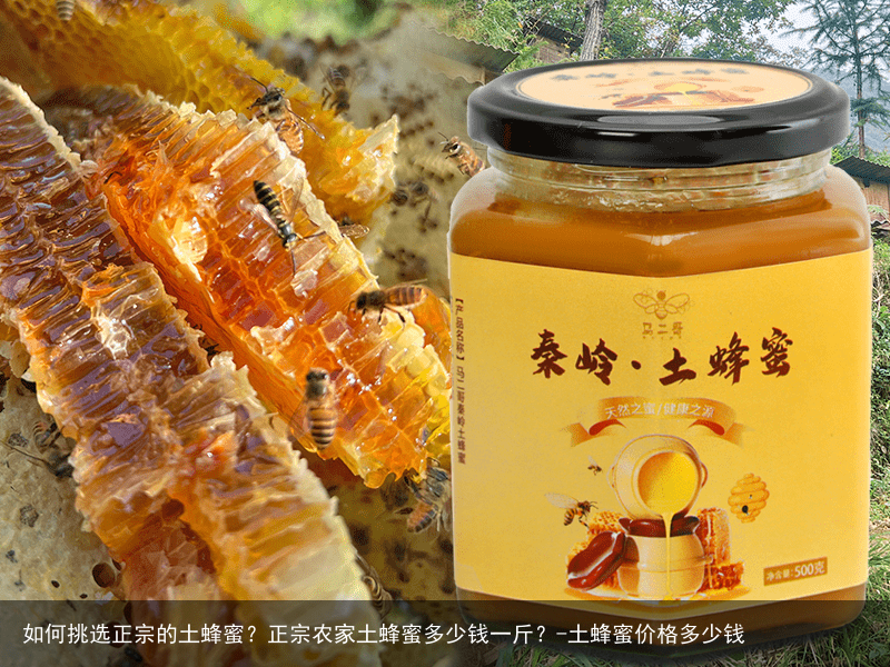 如何挑选正宗的土蜂蜜？正宗农家土蜂蜜多少钱一斤？-土蜂蜜价格多少钱