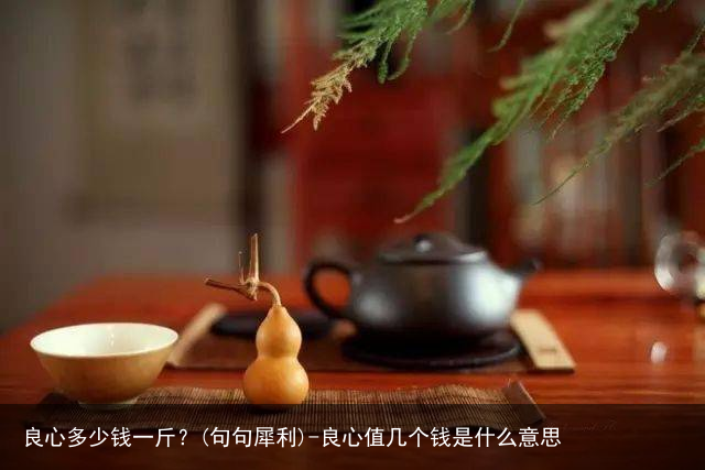 良心多少钱一斤？(句句犀利)-良心值几个钱是什么意思