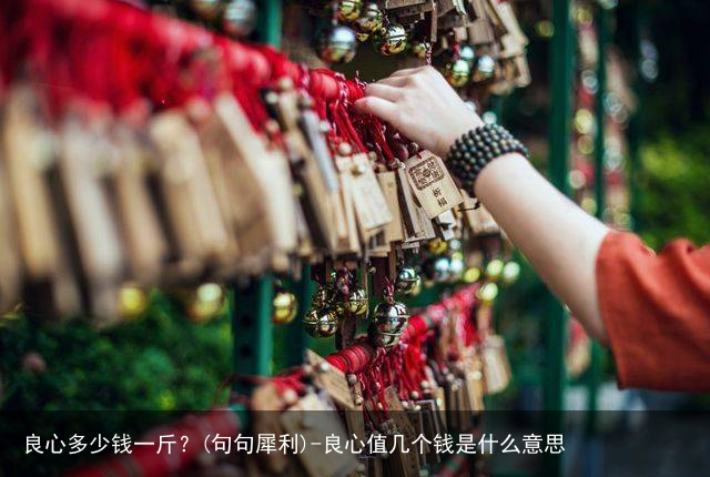 良心多少钱一斤？(句句犀利)-良心值几个钱是什么意思