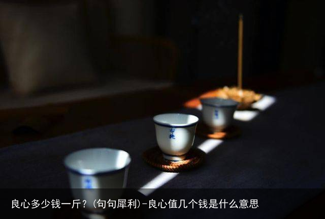 良心多少钱一斤？(句句犀利)-良心值几个钱是什么意思