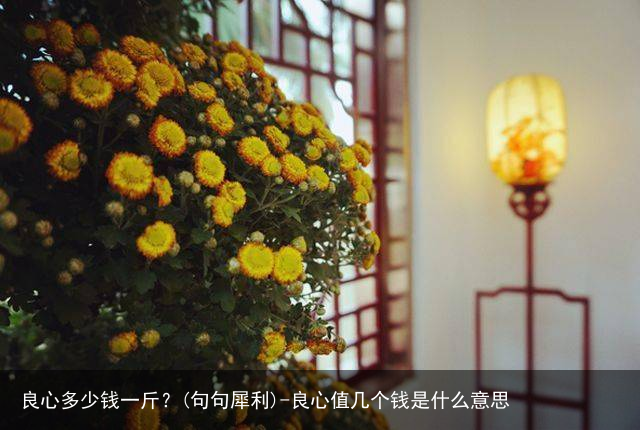 良心多少钱一斤？(句句犀利)-良心值几个钱是什么意思