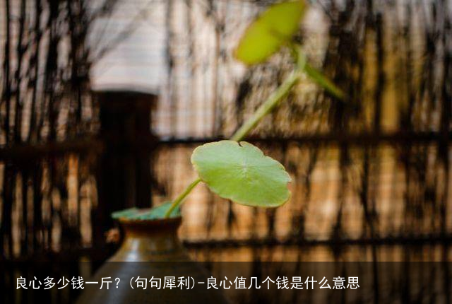 良心多少钱一斤？(句句犀利)-良心值几个钱是什么意思