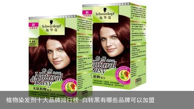 植物染发剂十大品牌排行榜-白转黑有哪些品牌可以加盟