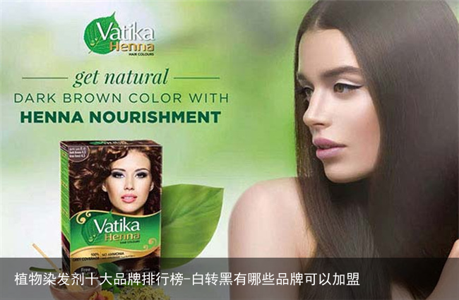 植物染发剂十大品牌排行榜-白转黑有哪些品牌可以加盟