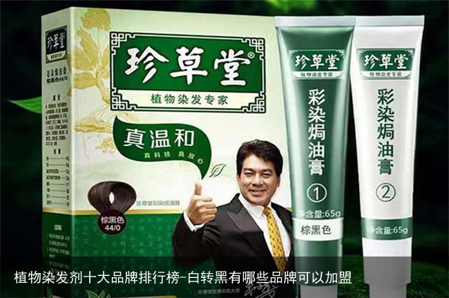 植物染发剂十大品牌排行榜-白转黑有哪些品牌可以加盟