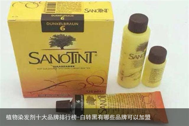 植物染发剂十大品牌排行榜-白转黑有哪些品牌可以加盟