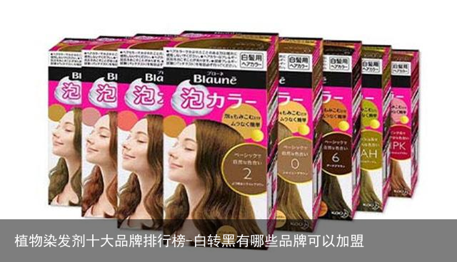植物染发剂十大品牌排行榜-白转黑有哪些品牌可以加盟