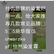 什么品牌的染膏好用一点，给大家推荐几款常见品牌