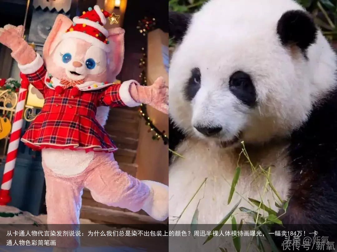 从卡通人物代言染发剂说说：为什么我们总是染不出包装上的颜色？-卡通人物色彩简笔画