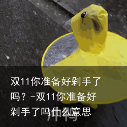 双11你准备好剁手了吗？-双11你准备好剁手了吗什么意思