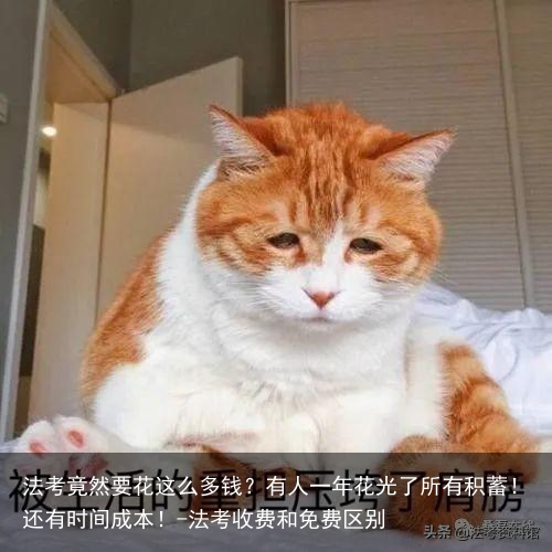 法考竟然要花这么多钱？有人一年花光了所有积蓄！还有时间成本！-法考收费和免费区别