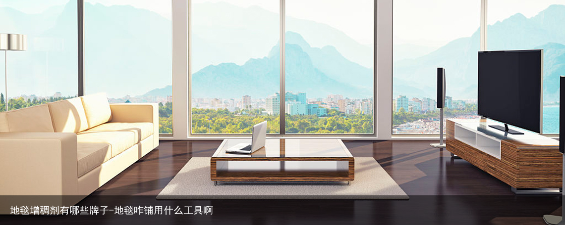 地毯增稠剂有哪些牌子-地毯咋铺用什么工具啊