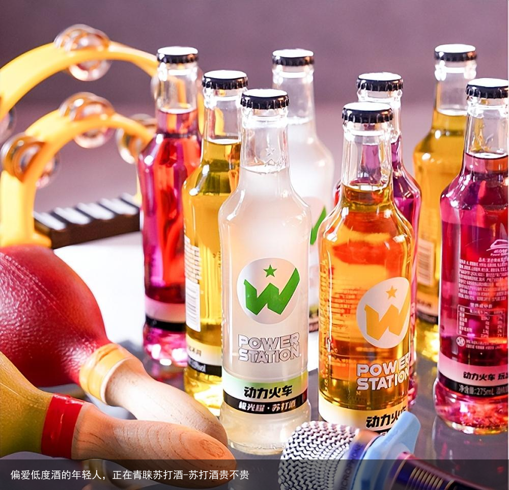 偏爱低度酒的年轻人，正在青睐苏打酒-苏打酒贵不贵