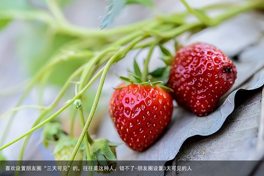 喜欢设置朋友圈“三天可见”的，往往是这种人，错不了-朋友圈设置3天可见的人