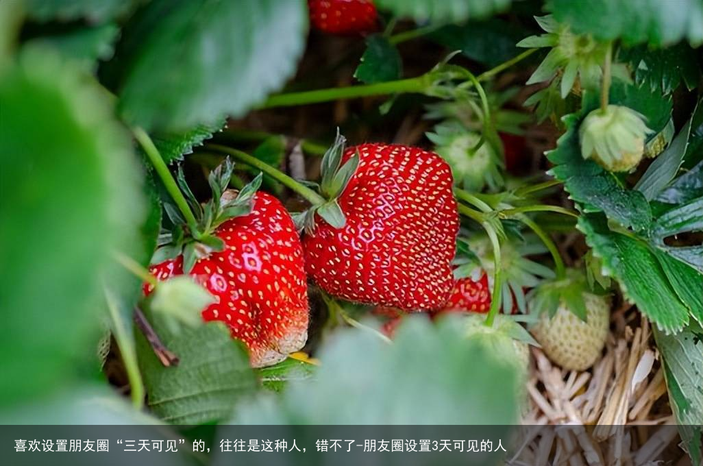 喜欢设置朋友圈“三天可见”的，往往是这种人，错不了-朋友圈设置3天可见的人