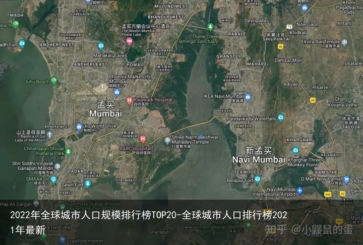 2022年全球城市人口规模排行榜TOP20-全球城市人口排行榜2021年最新