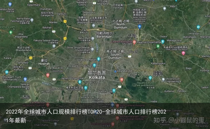 2022年全球城市人口规模排行榜TOP20-全球城市人口排行榜2021年最新