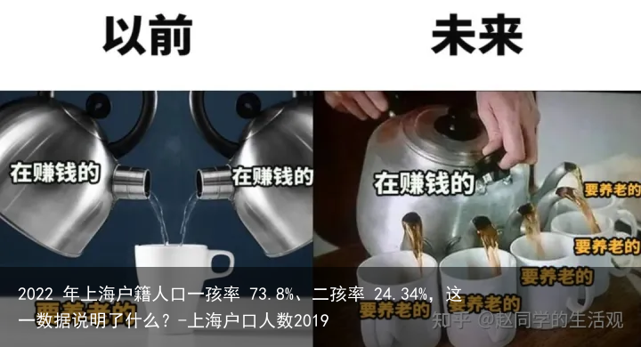 2022 年上海户籍人口一孩率 73.8%、二孩率 24.34%，这一数据说明了什么？-上海户口人数2019