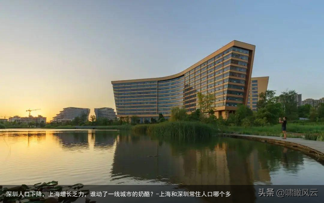 深圳人口下降，上海增长乏力，谁动了一线城市的奶酪？-上海和深圳常住人口哪个多